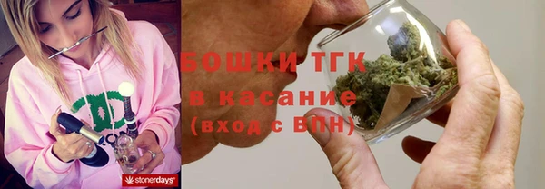 СК Болотное