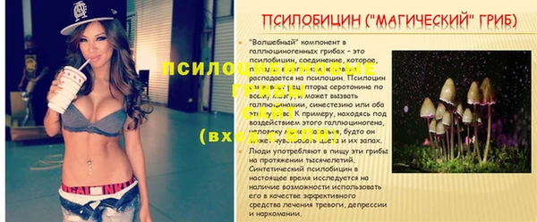 скорость Горняк