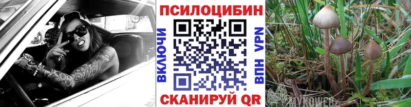 Псилоцибиновые грибы Psilocybine cubensis Духовщина