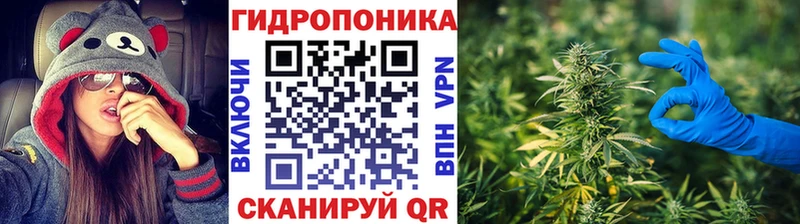 hydra ТОР  Духовщина  Бошки марихуана план 